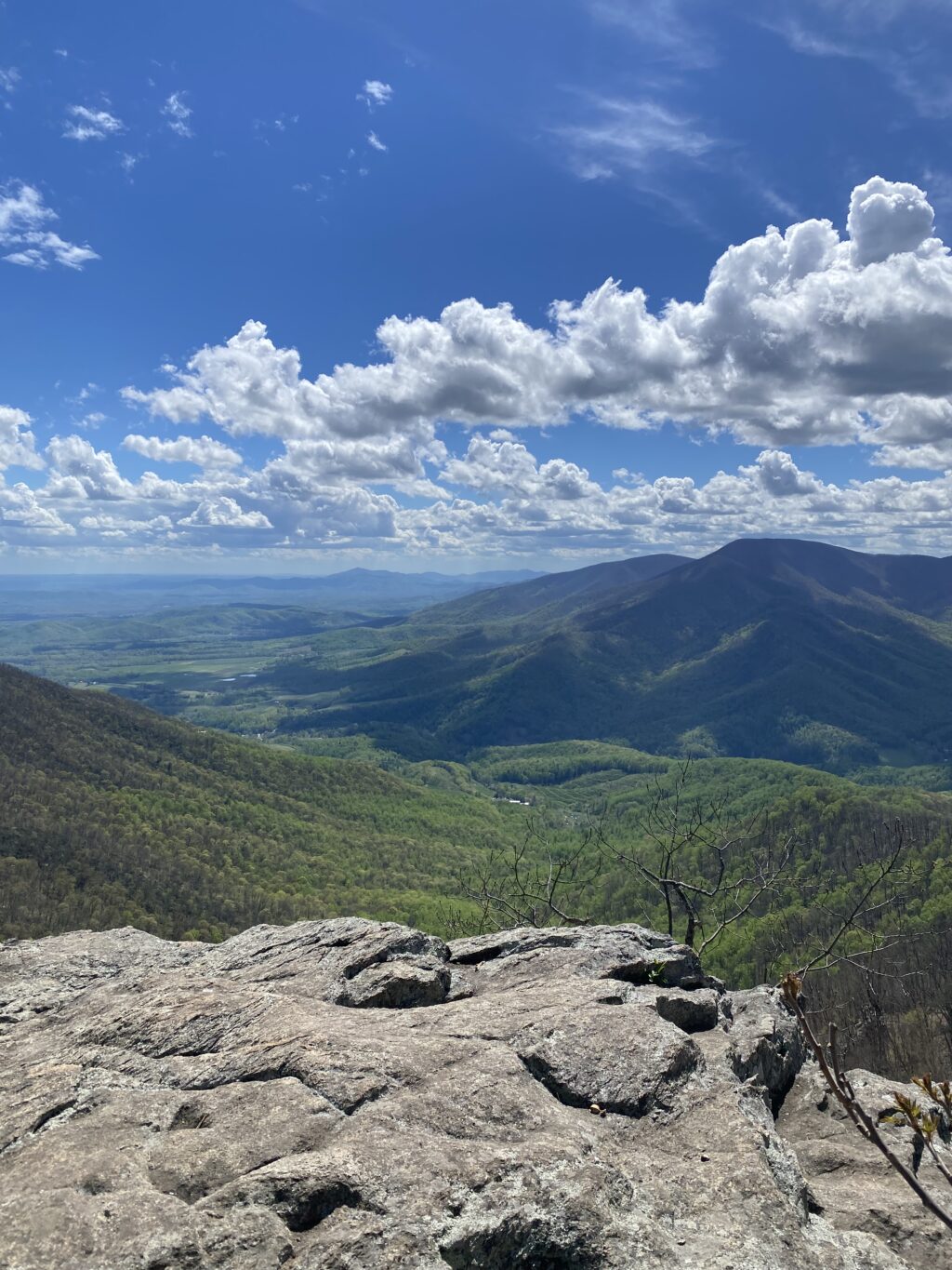 View from Chimney Rock - Three Ridges Trail 