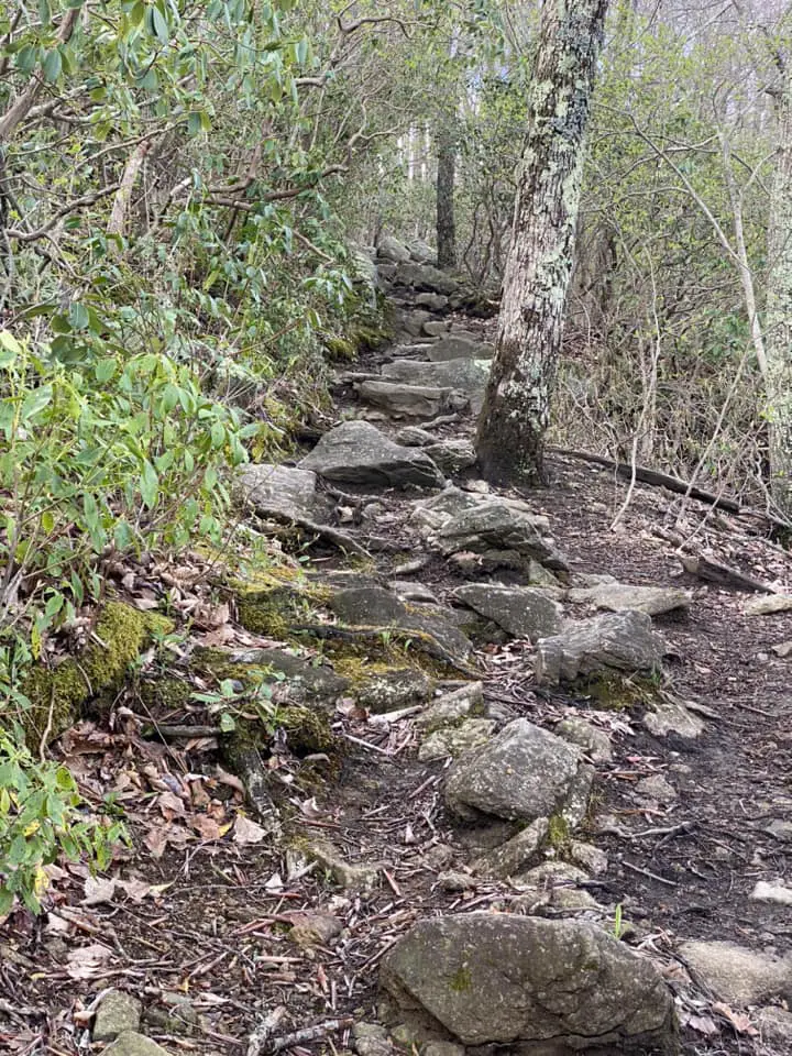 Path on Three Ridges Trail 