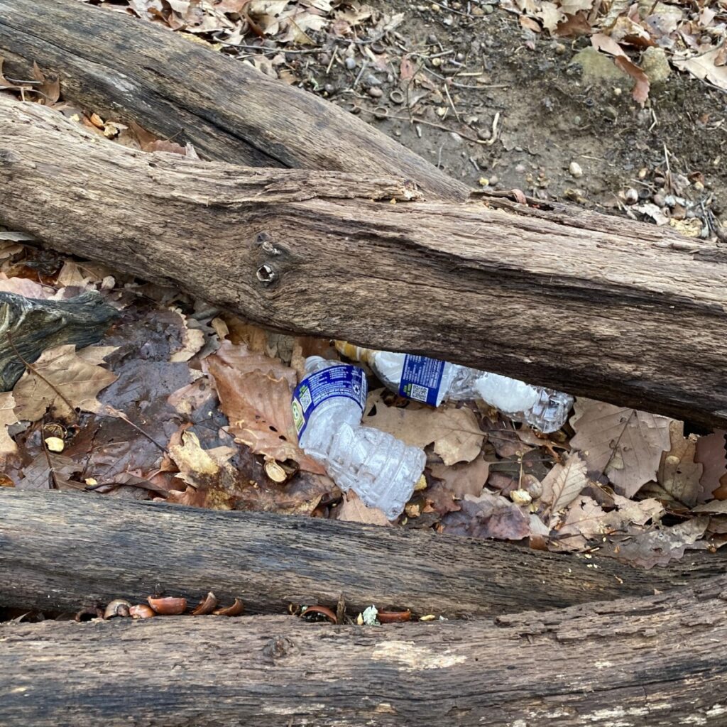 Water bottles thrown into the woods