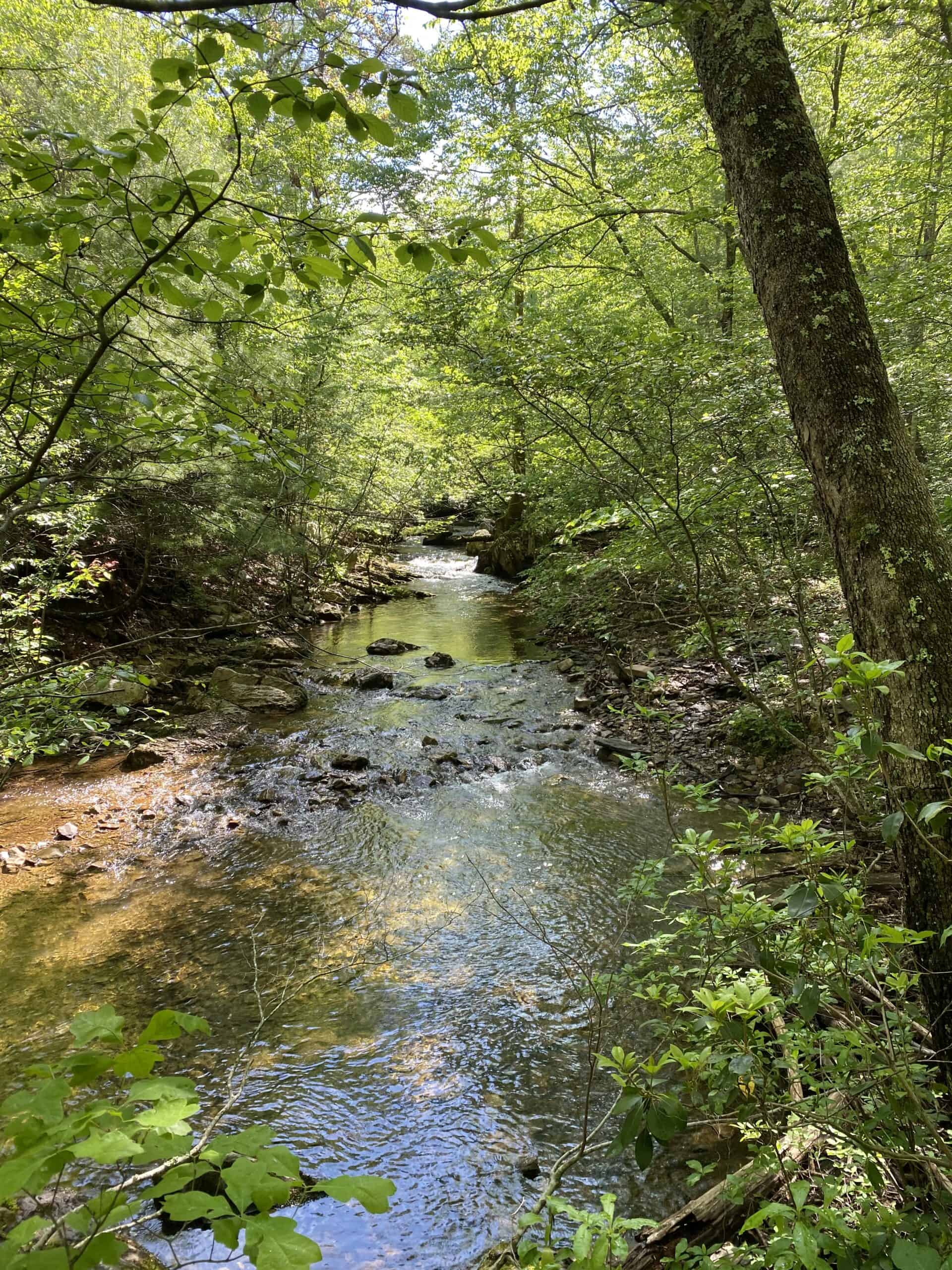 Doyles River Loop via Appalachian Trail