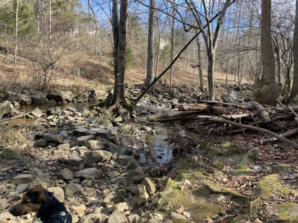 Rivanna Trail Meadow Creek to Greenbriar