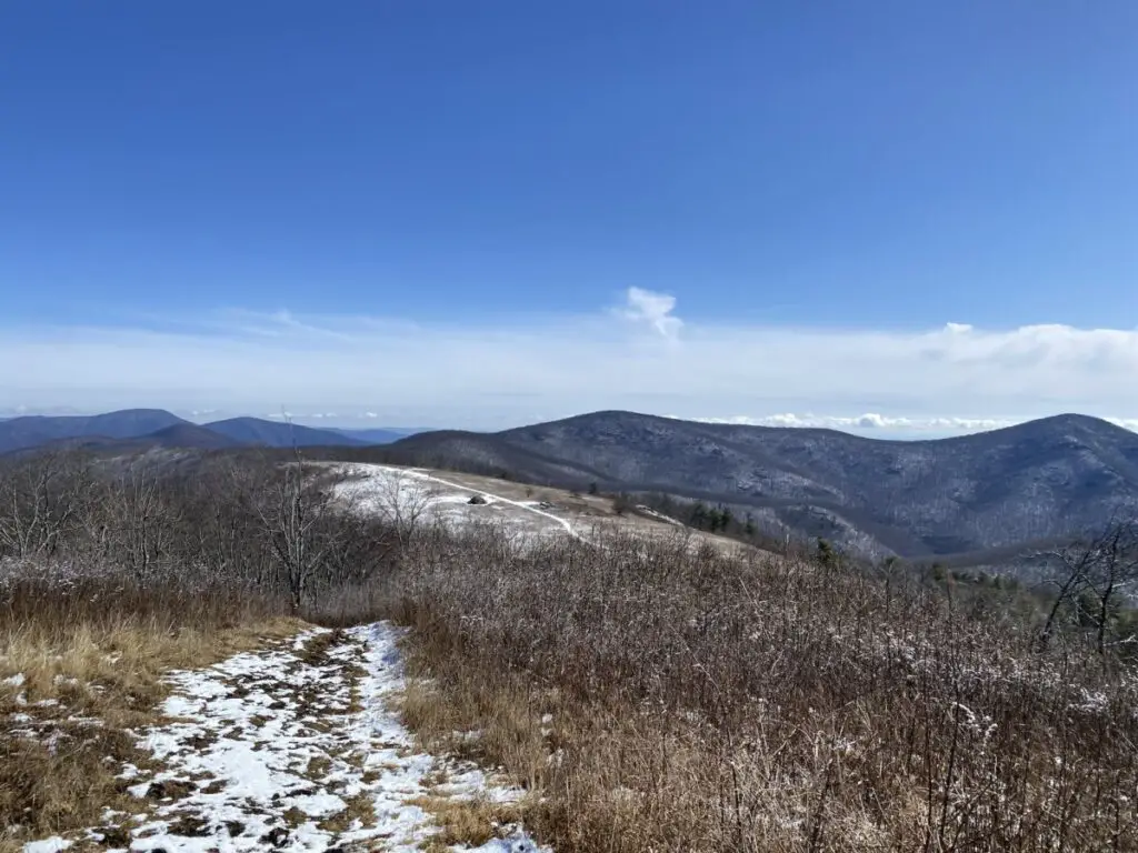 Cole Mountain