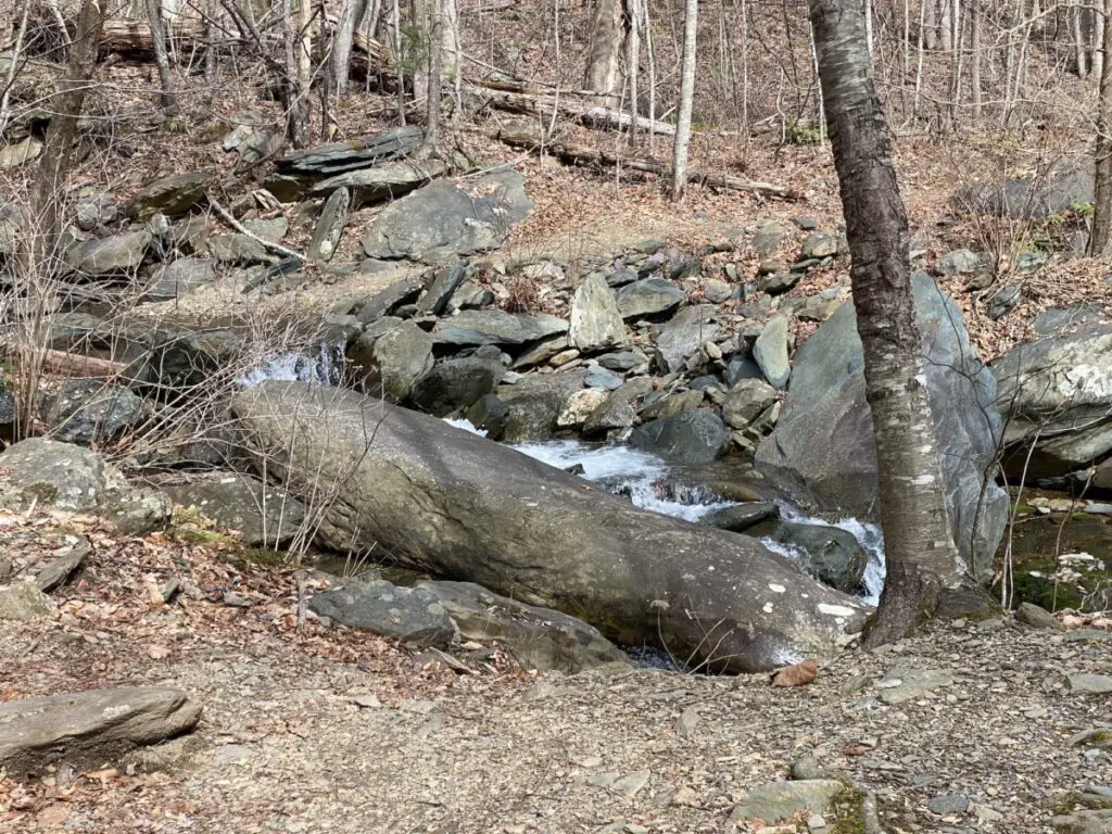 Sugar Hollow