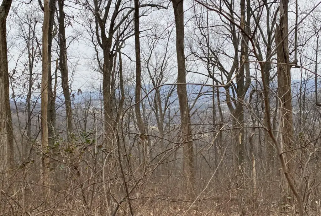 hiking on the Saunders-Monticello Trail