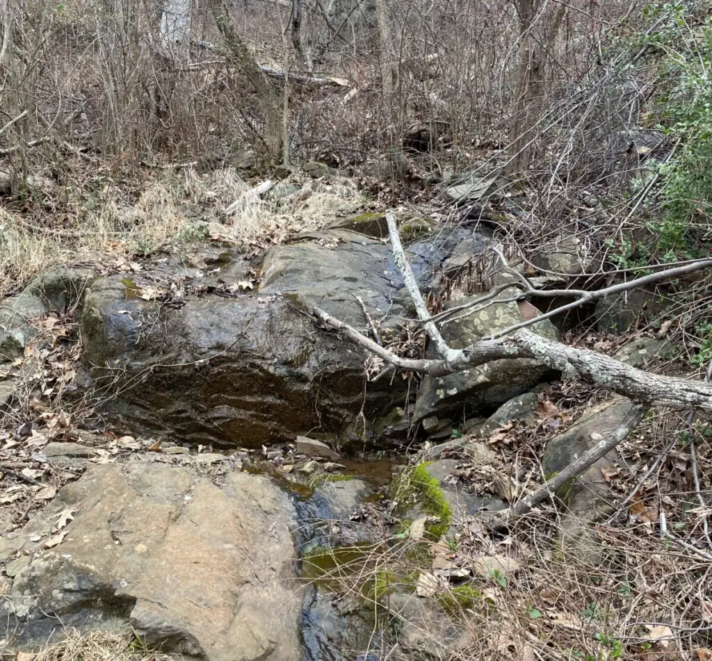 Kemper Park
