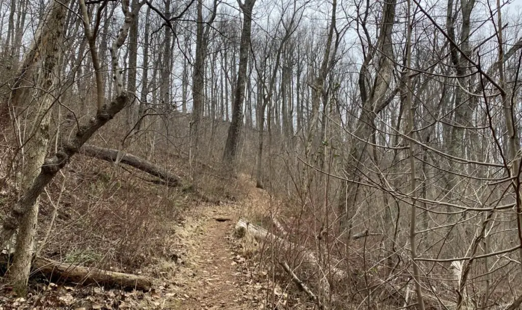 Kemper Park Trail