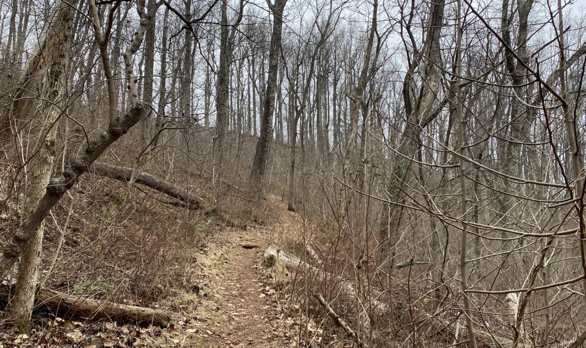 The Quiet Skills Every Confident Solo Hiker Builds Over Time