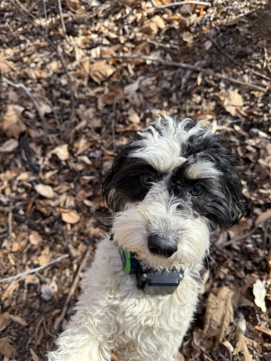 Starting Your Hiking & Camping Journey: How to Build Confidence